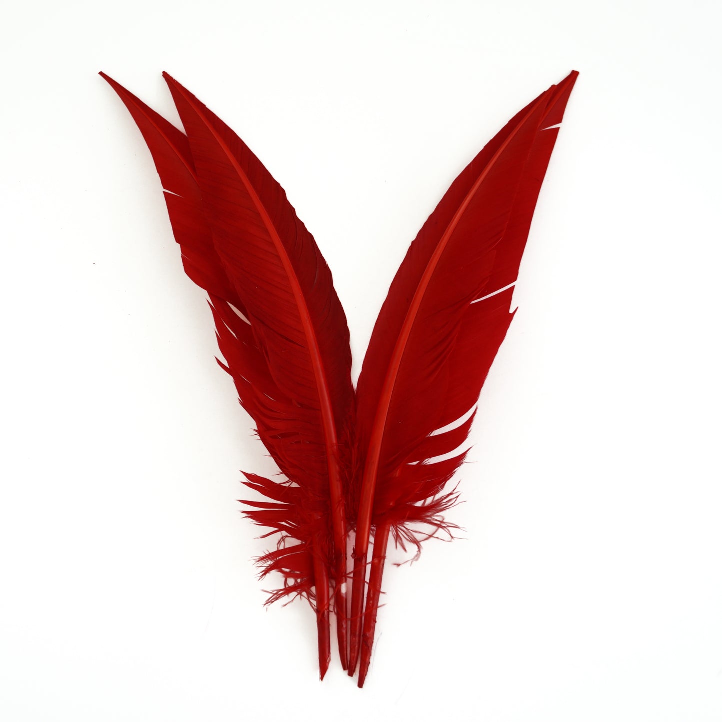 Red Dagger Turkey Quill Feathers 9-12"