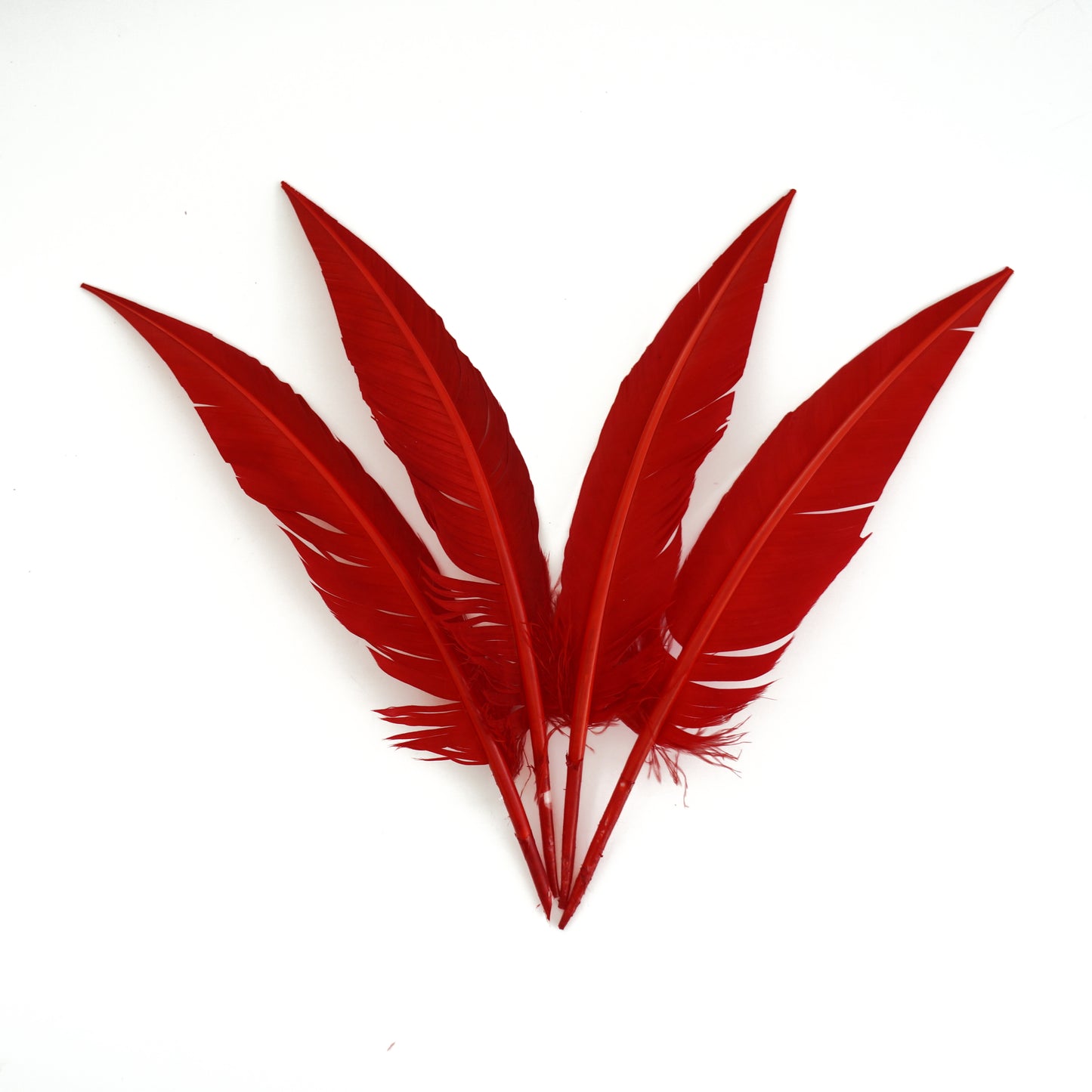 Red Dagger Turkey Quill Feathers 9-12"