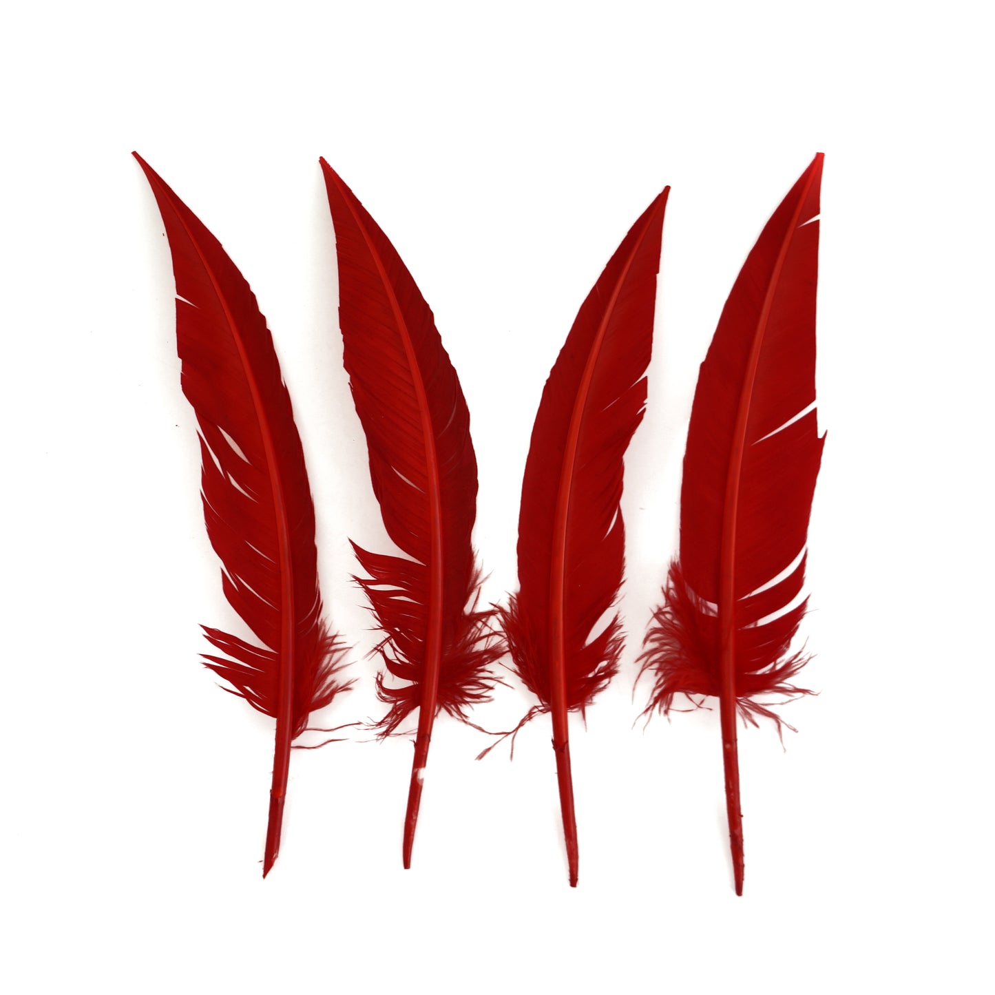 Red Dagger Turkey Quill Feathers 9-12"