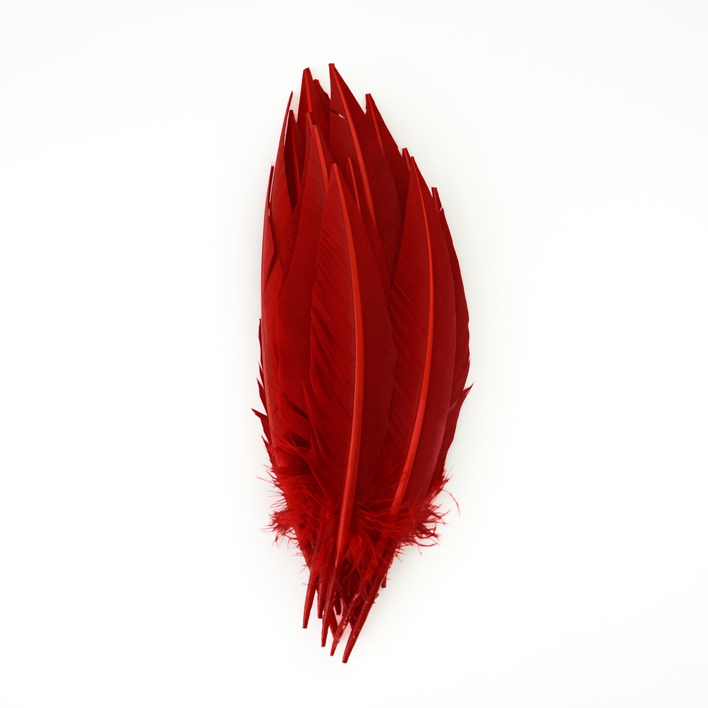 Red Dagger Turkey Quill Feathers 9-12"