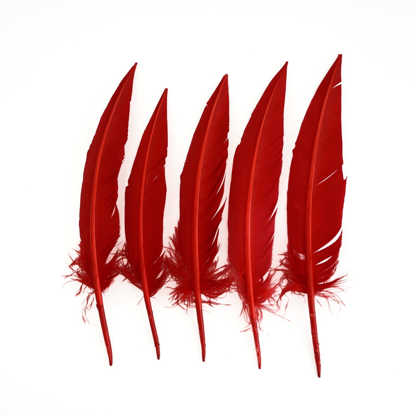 Red Dagger Turkey Quill Feathers 9-12"