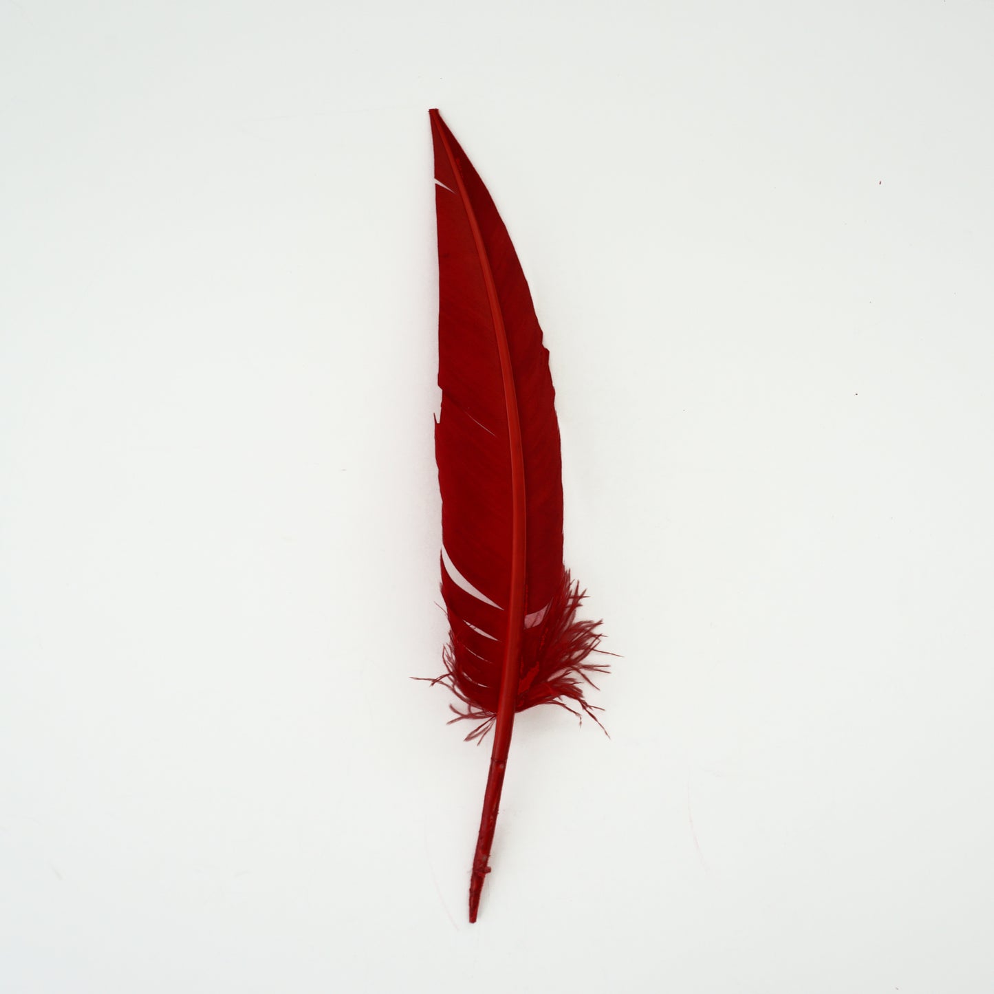 Red Dagger Turkey Quill Feathers 9-12"