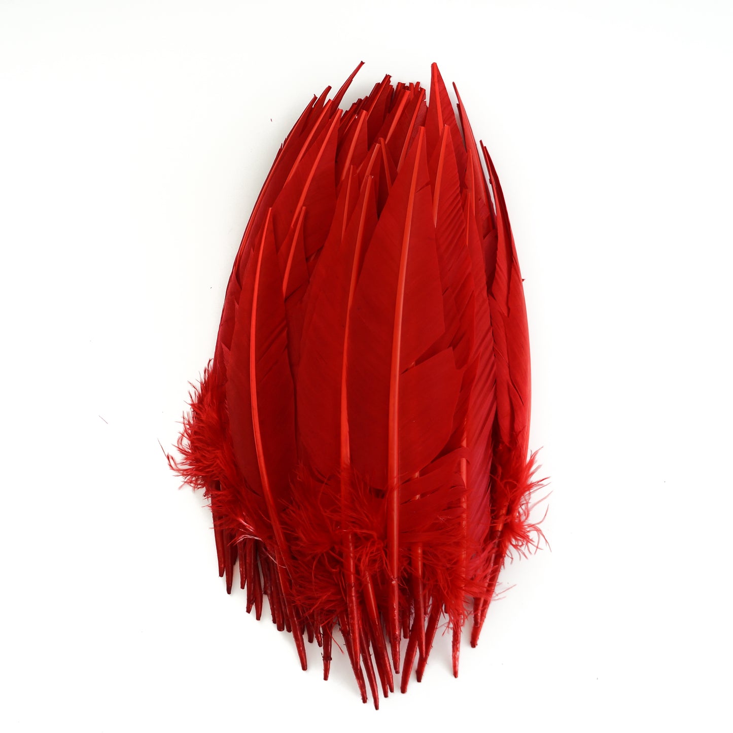 Red Dagger Turkey Quill Feathers 9-12"