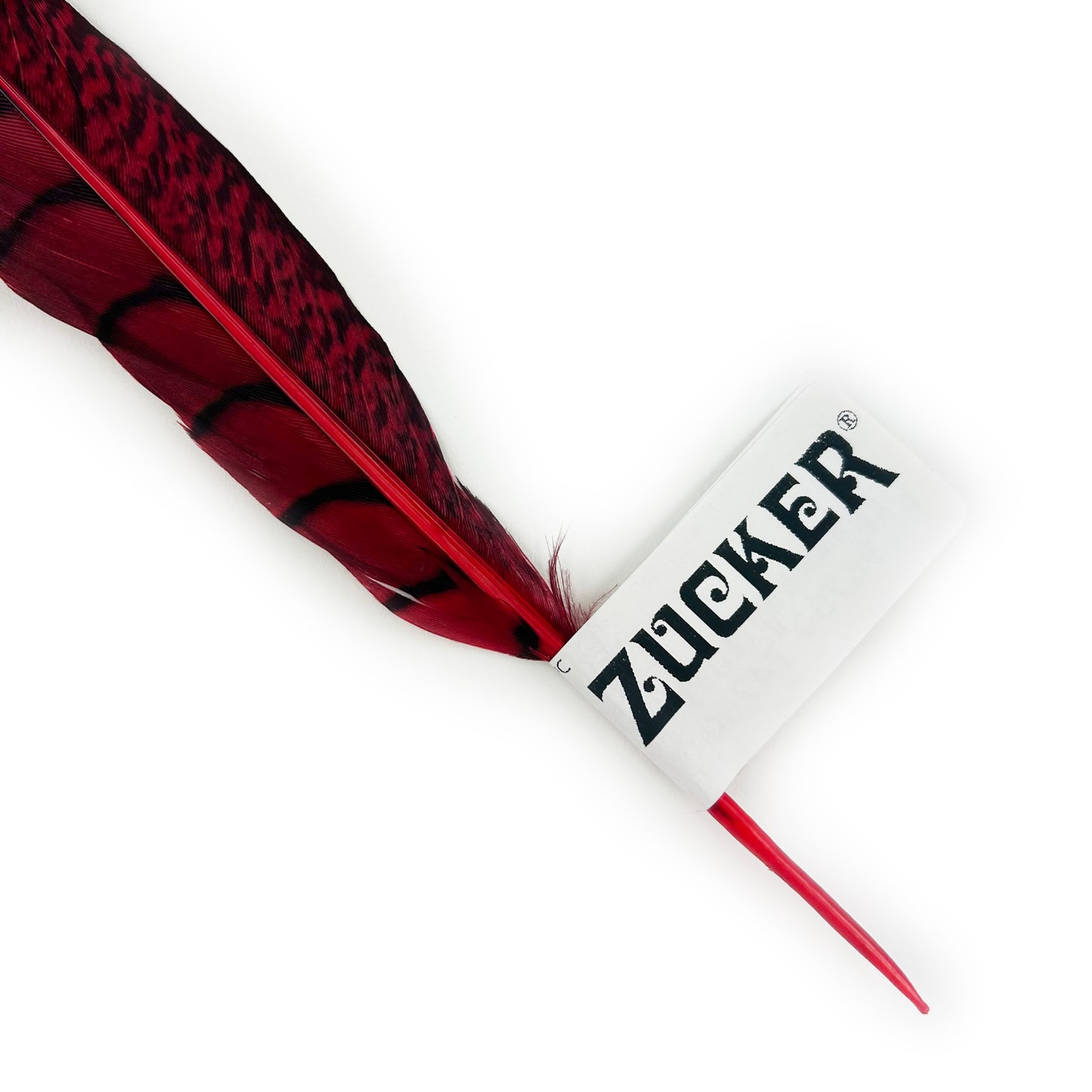 Lady Amherst Pheasant Tails Dyed 1pc Per Package - Hot Red