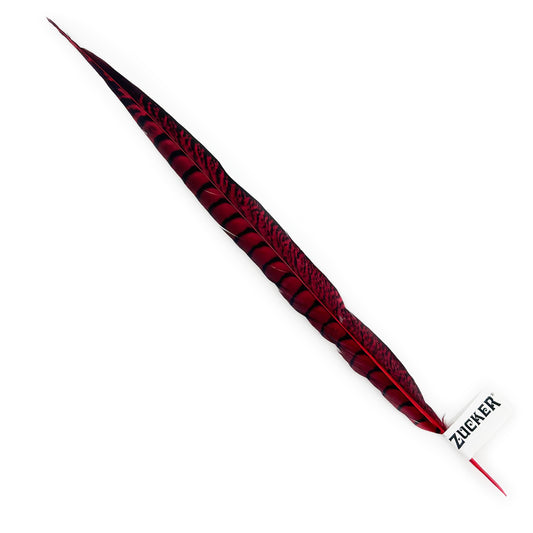 Lady Amherst Pheasant Tails Dyed 1pc Per Package - Hot Red