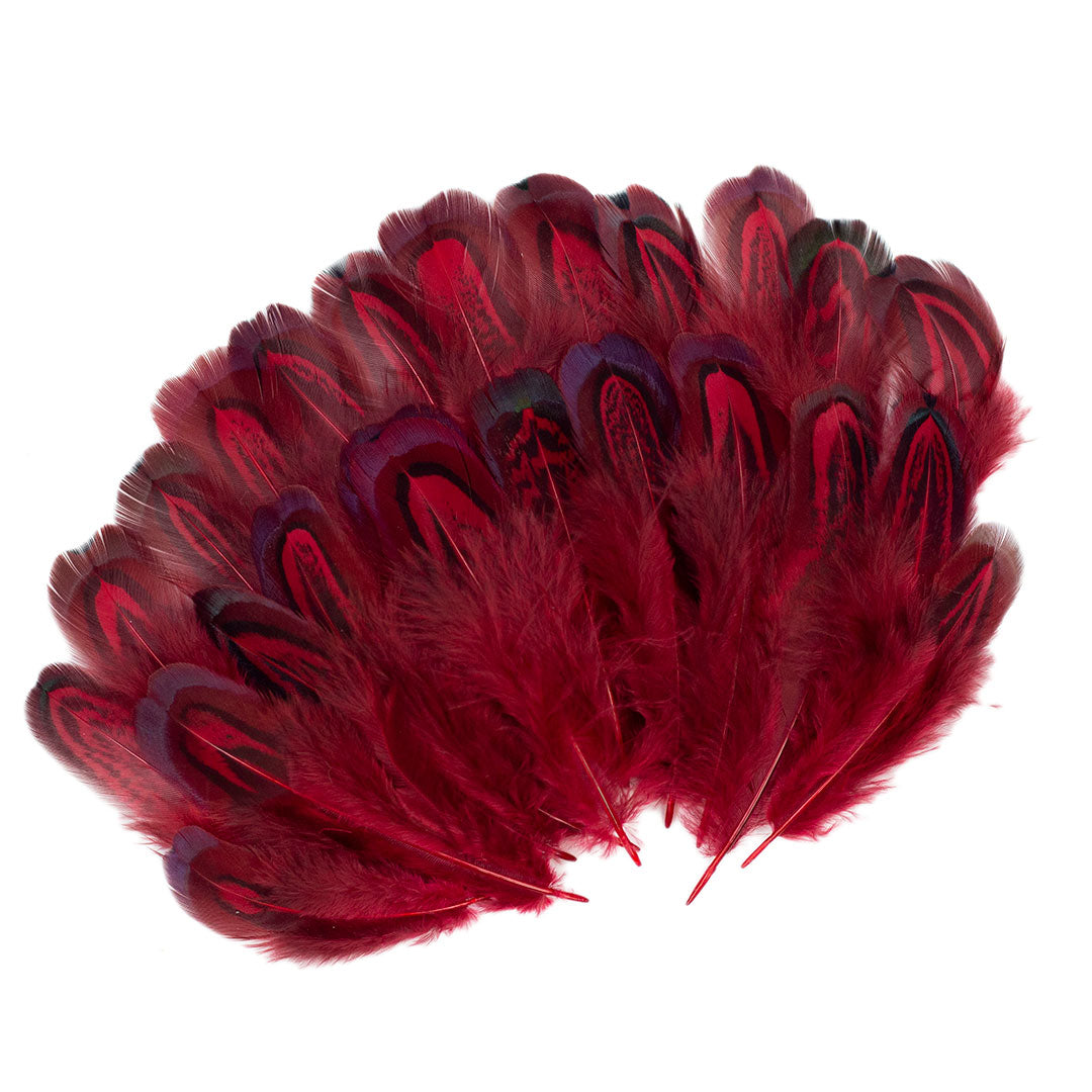 Tango Red Almond Ringneck Pheasant Loose Plumage 2-3 inch