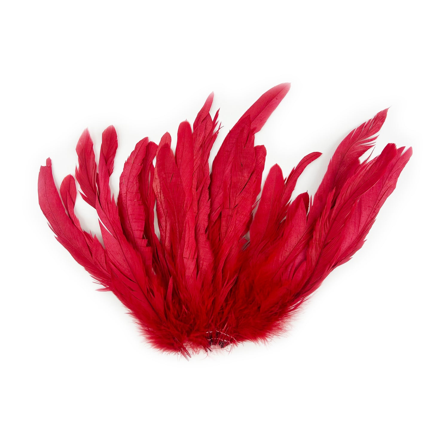 ROOSTER COQUE TAIL FEATHERS BLEACH DYED 7-10” - 25 PC/PKG - Red
