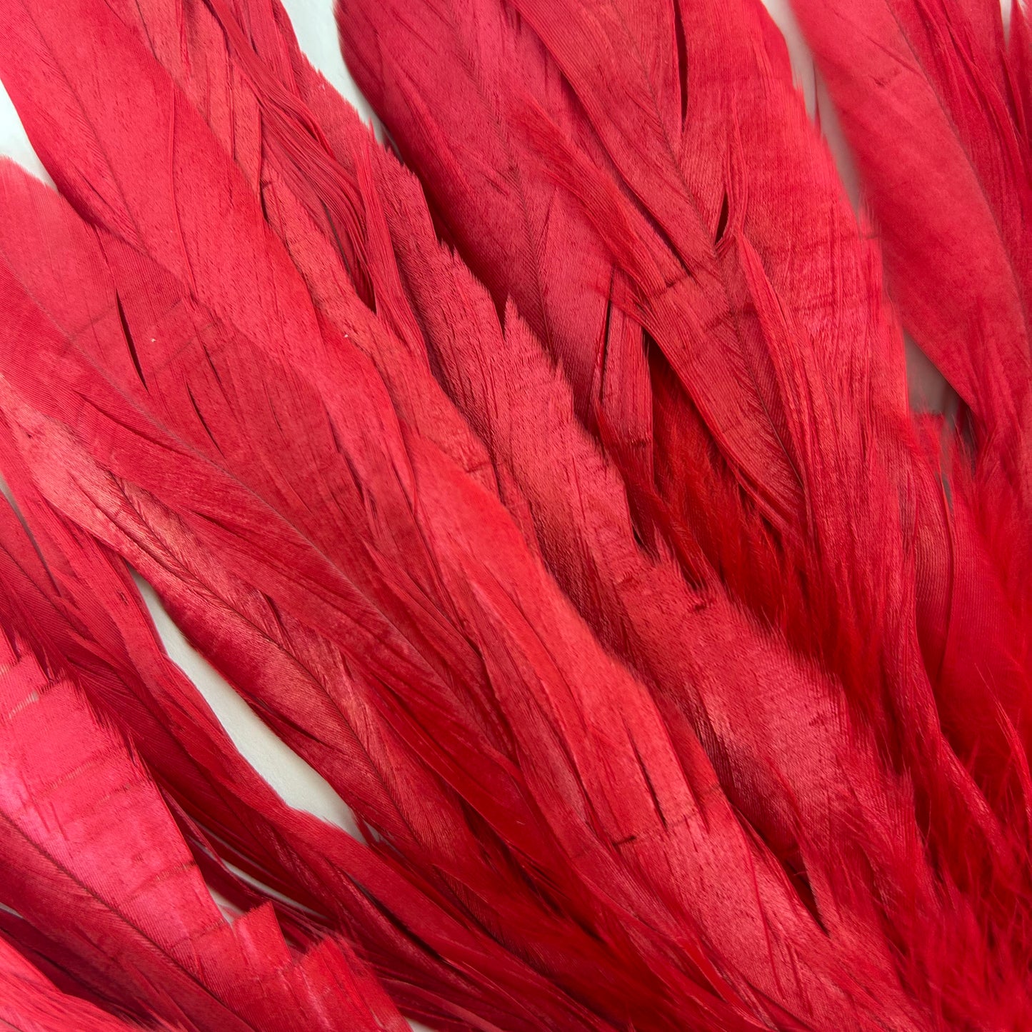 ROOSTER COQUE TAIL FEATHERS BLEACH DYED 7-10” - 25 PC/PKG - Red