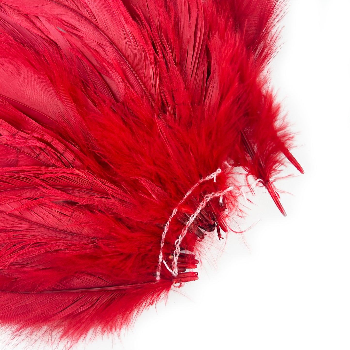 ROOSTER COQUE TAIL FEATHERS BLEACH DYED 7-10” - 25 PC/PKG - Red
