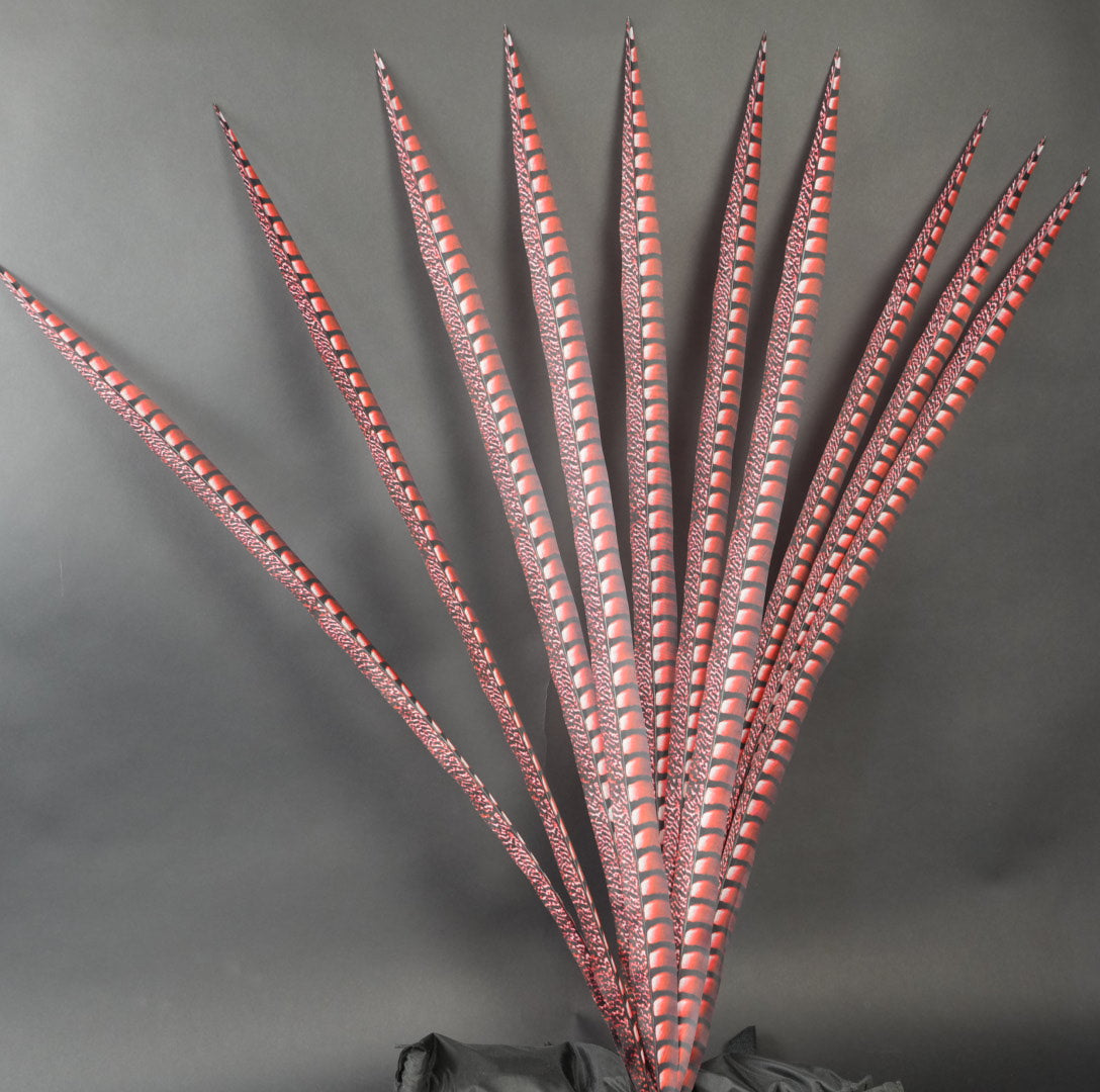 Red Faux Lady Amherst Feathers 1 pc