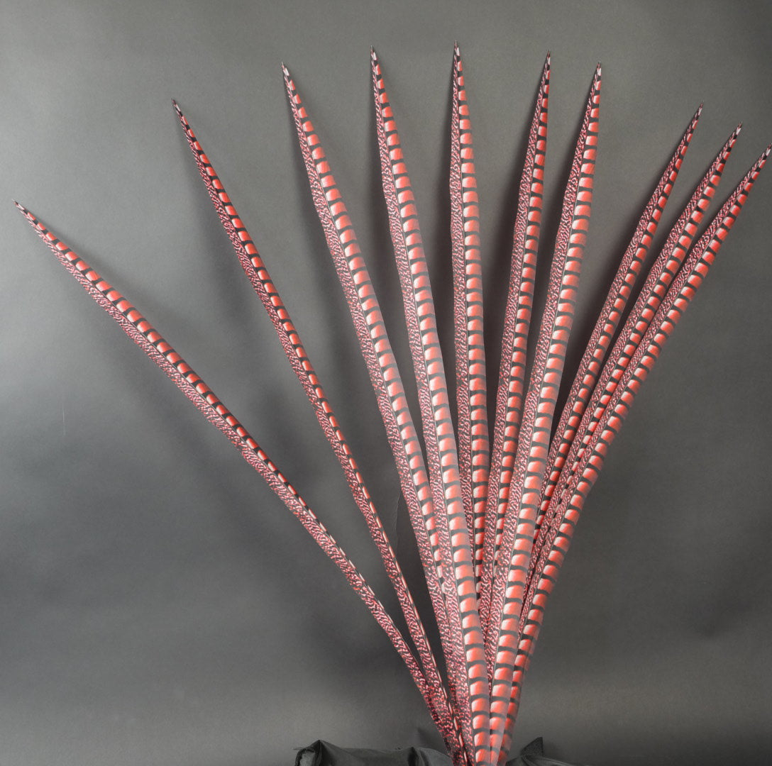 Red Faux Lady Amherst Feathers 1 pc