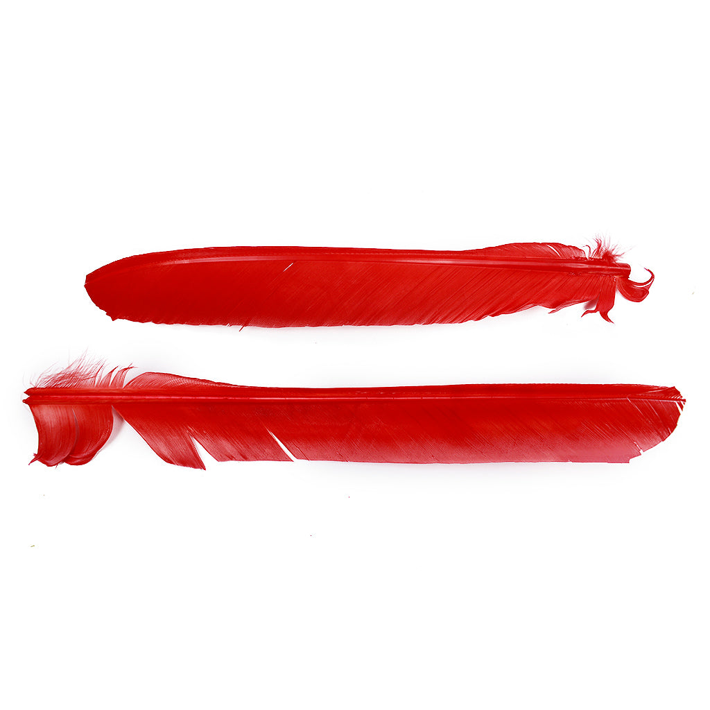 Hot Orange Cut Turkey Pointer Feathers 8-12"