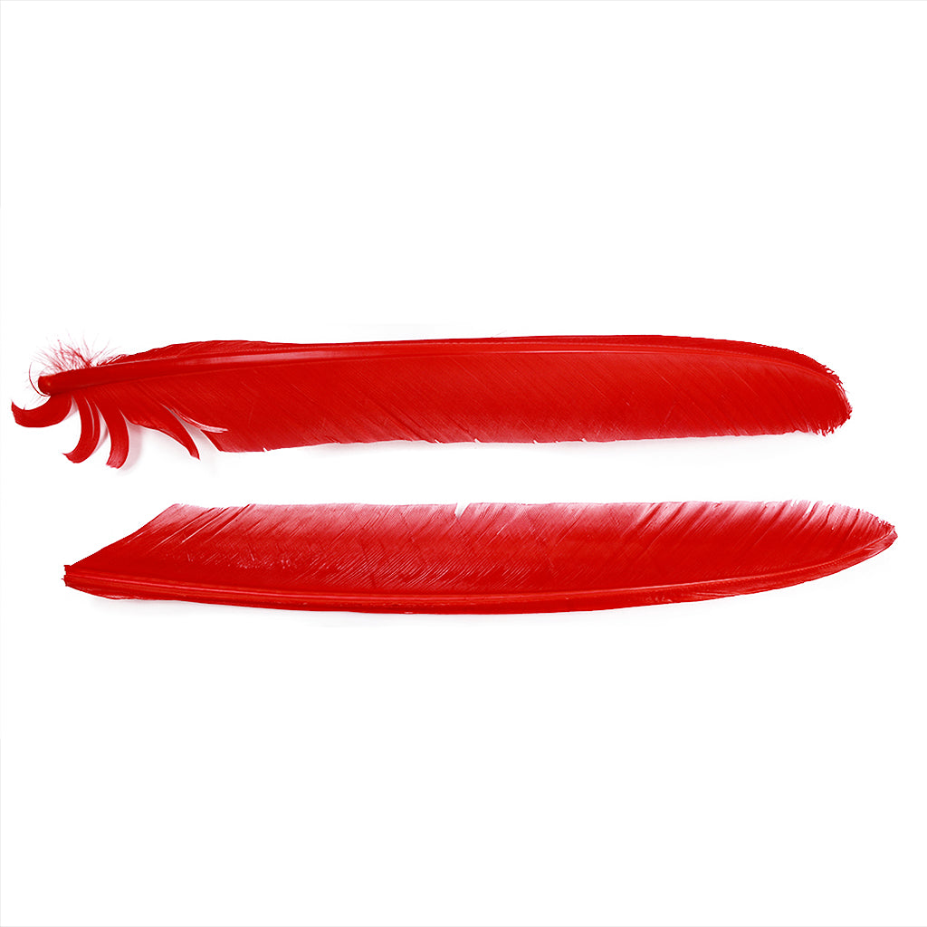 Hot Orange Cut Turkey Pointer Feathers 8-12"
