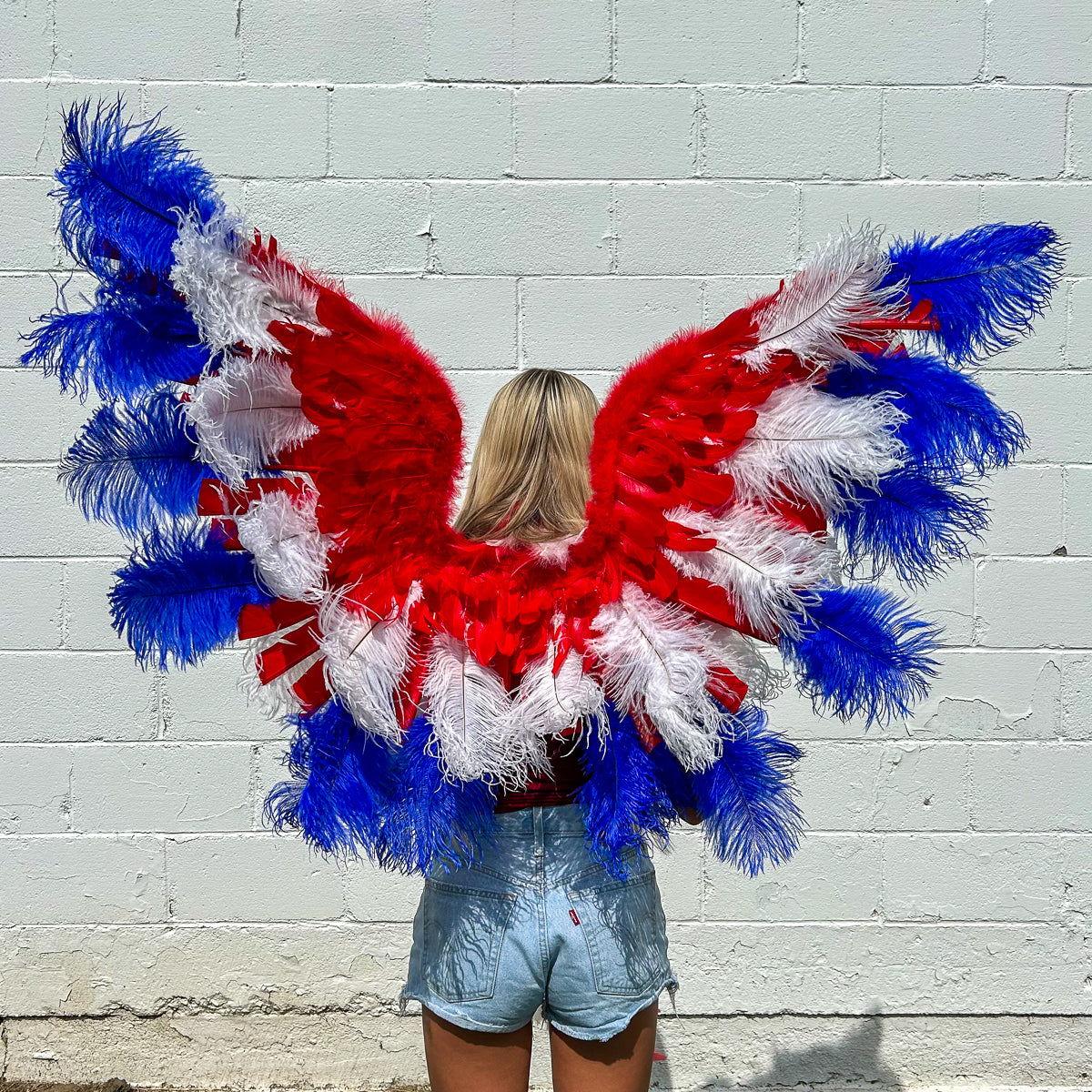 Goose Turkey Feather Wings 25 x 50 inch --Red/White/Royal
