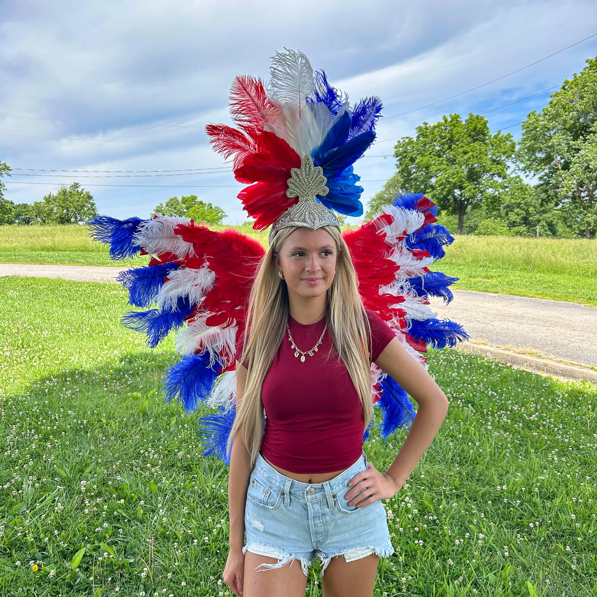 Goose Turkey Feather Wings 25 x 50 inch --Red/White/Royal