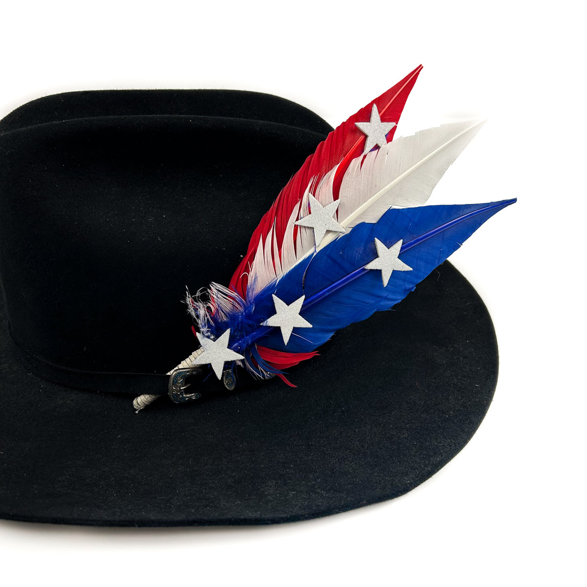 Trimmed Turkey Quill Trim w/Stars --Red/White/Royal