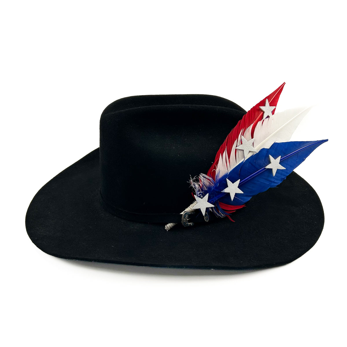 Trimmed Turkey Quill Trim w/Stars --Red/White/Royal