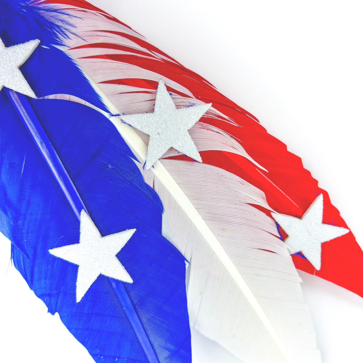 Trimmed Turkey Quill Trim w/Stars --Red/White/Royal