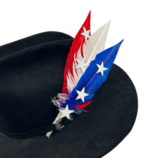 Trimmed Turkey Quill Trim w/Stars --Red/White/Royal