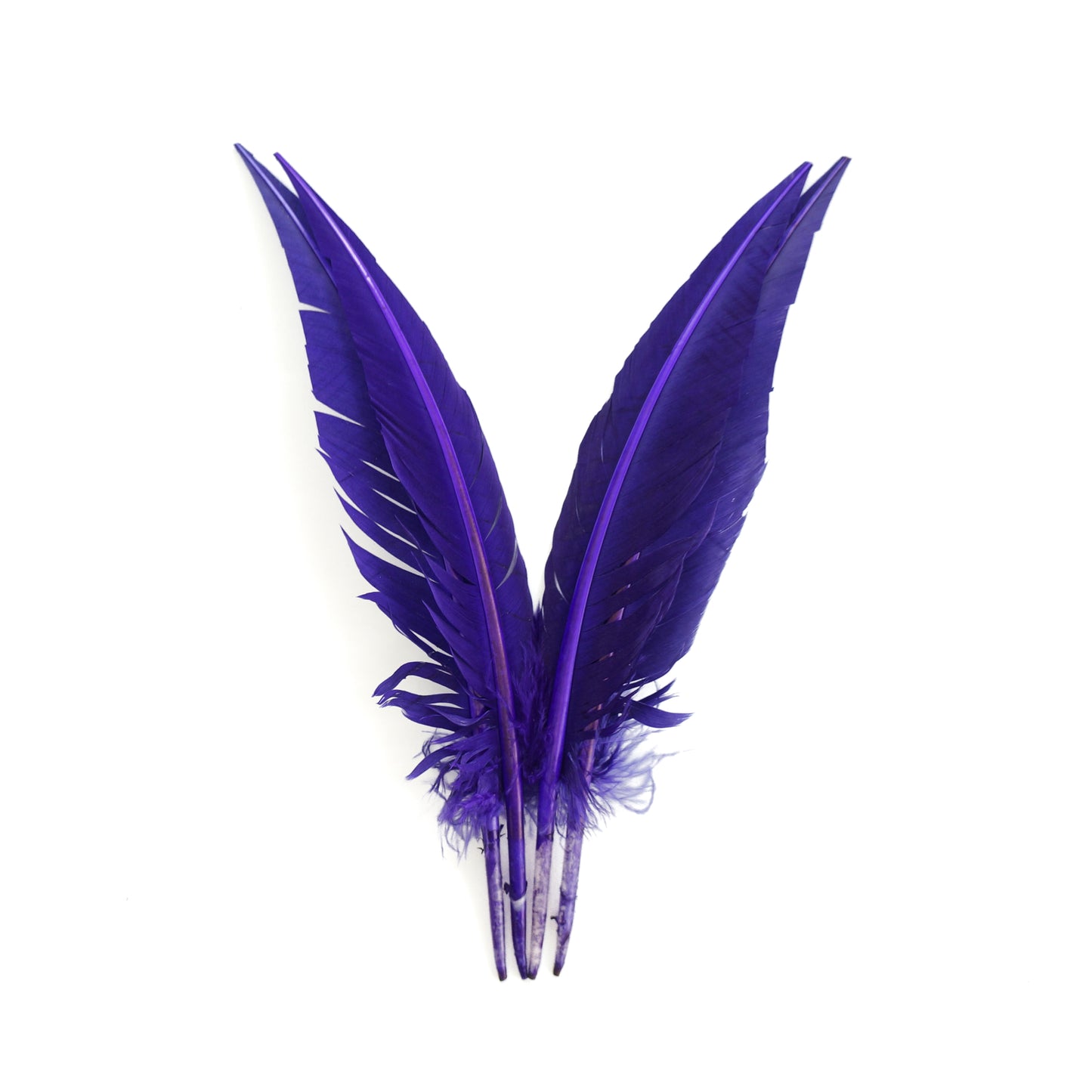 Regal Purple Dagger Turkey Quill Feathers 9-12"