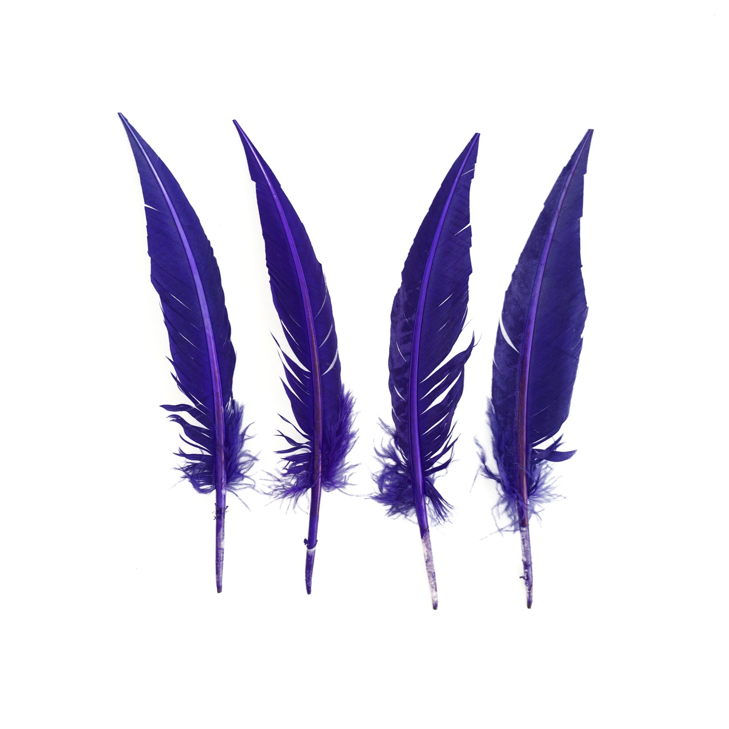 Regal Purple Dagger Turkey Quill Feathers 9-12"
