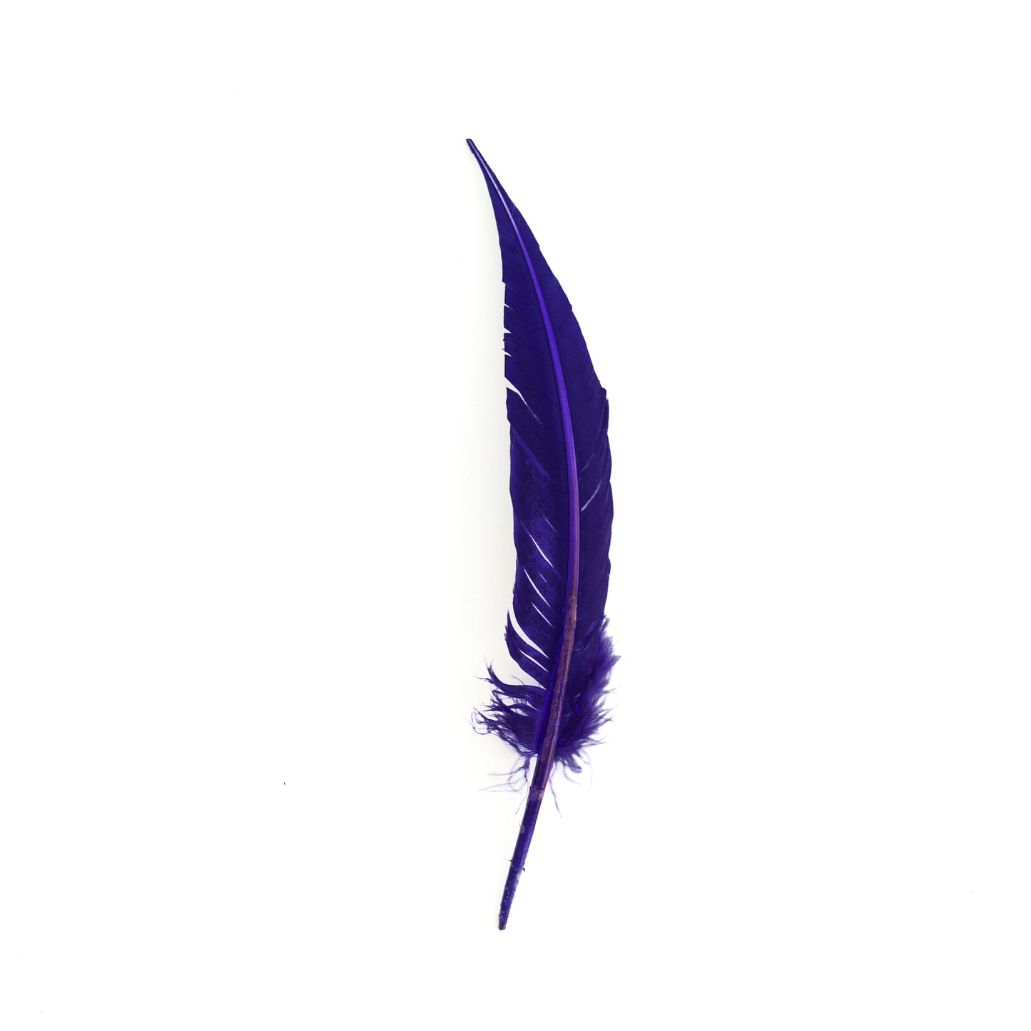 Regal Purple Dagger Turkey Quill Feathers 9-12"