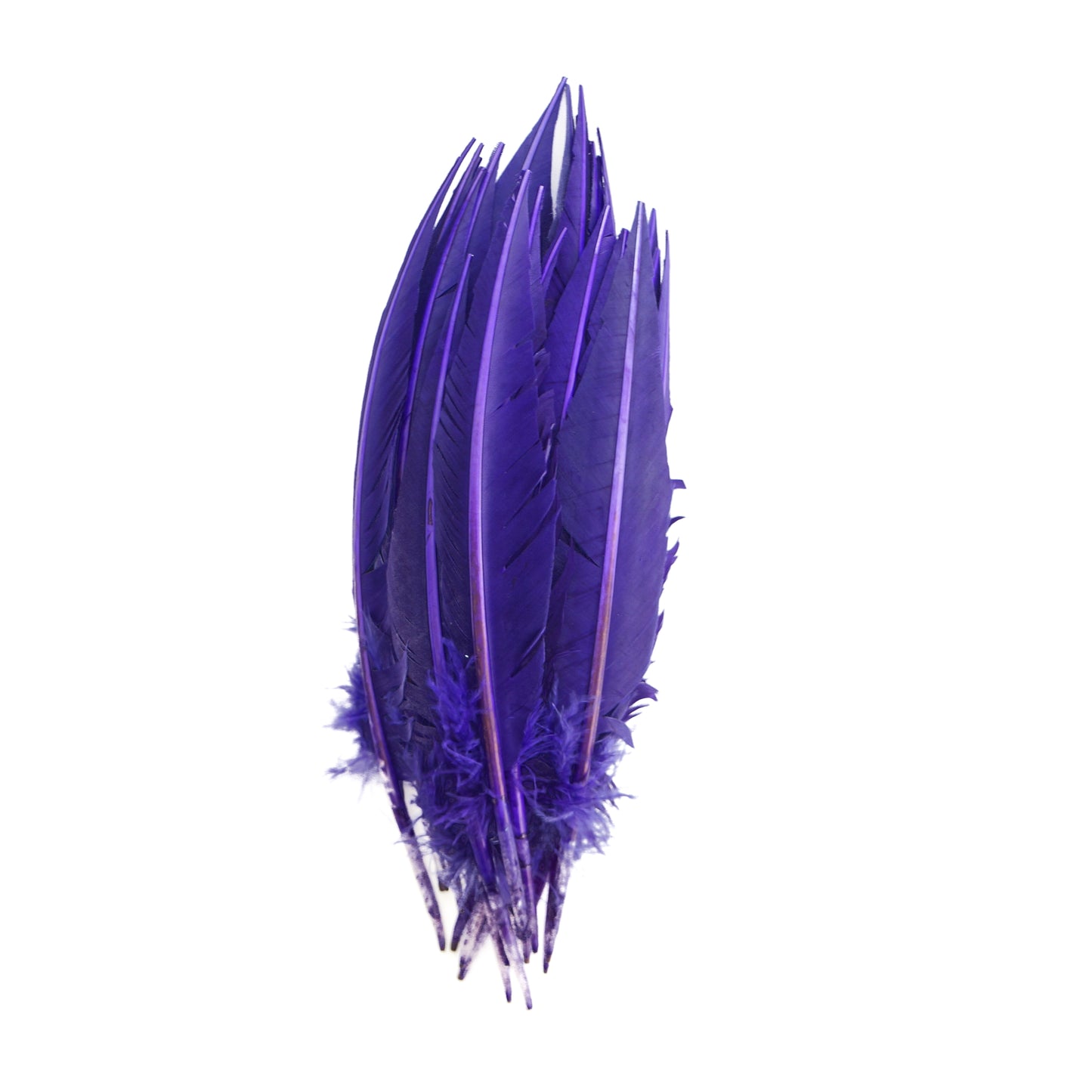 Regal Purple Dagger Turkey Quill Feathers 9-12"