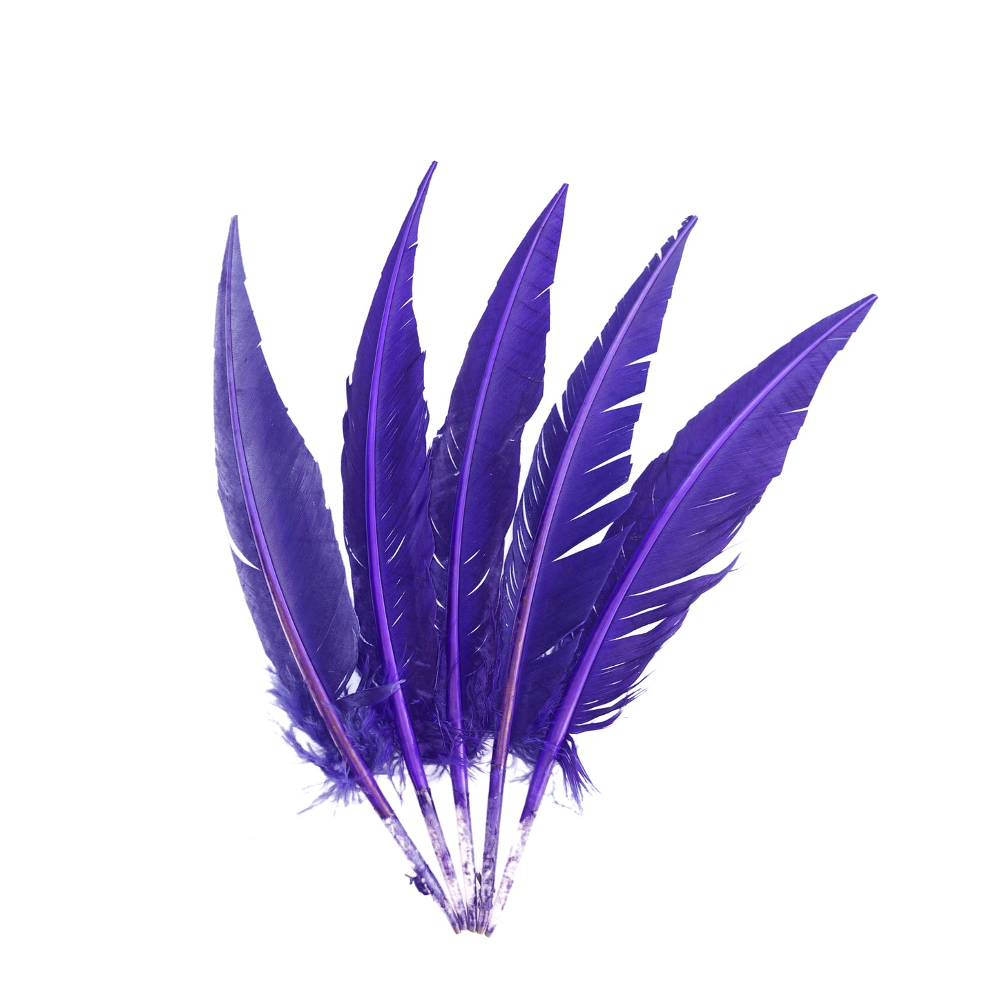 Regal Purple Dagger Turkey Quill Feathers 9-12"