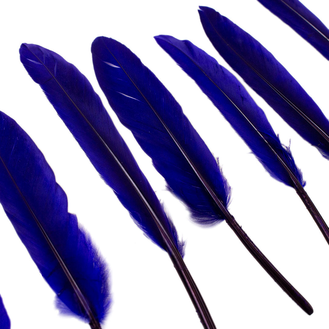 Duck Cosse Feathers - 3 - 6"-Regal