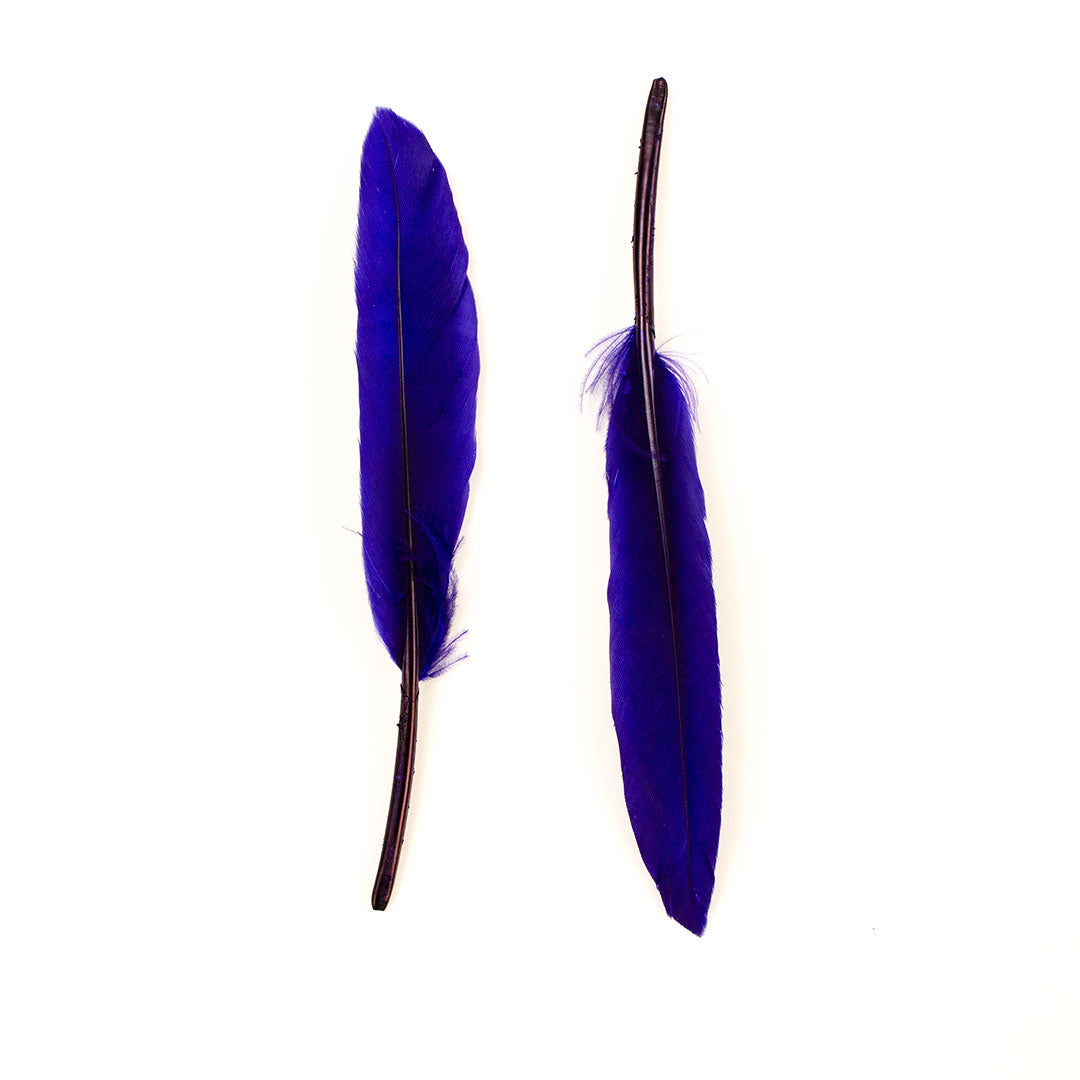 Duck Cosse Feathers - 3 - 6"-Regal