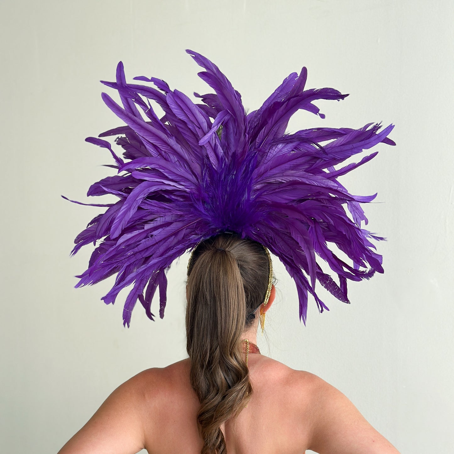 Zizi Regal Coque and Peacock Feather Showgirl Headpiece