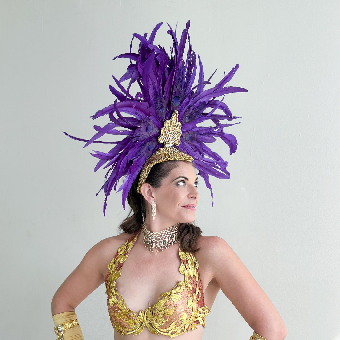 Zizi Regal Showgirl Feather Headpiece