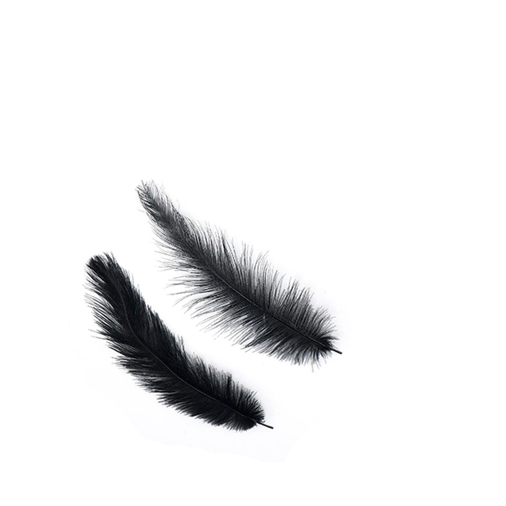 Rhea Tail Feathers Selected - Black - Feathers