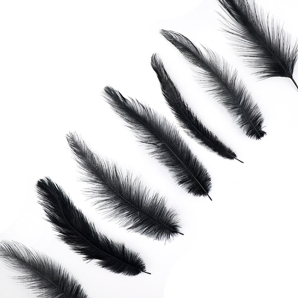 Rhea Tail Feathers Selected - Black - Feathers