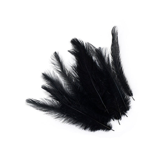 Rhea Tail Feathers Selected - Black - Feathers