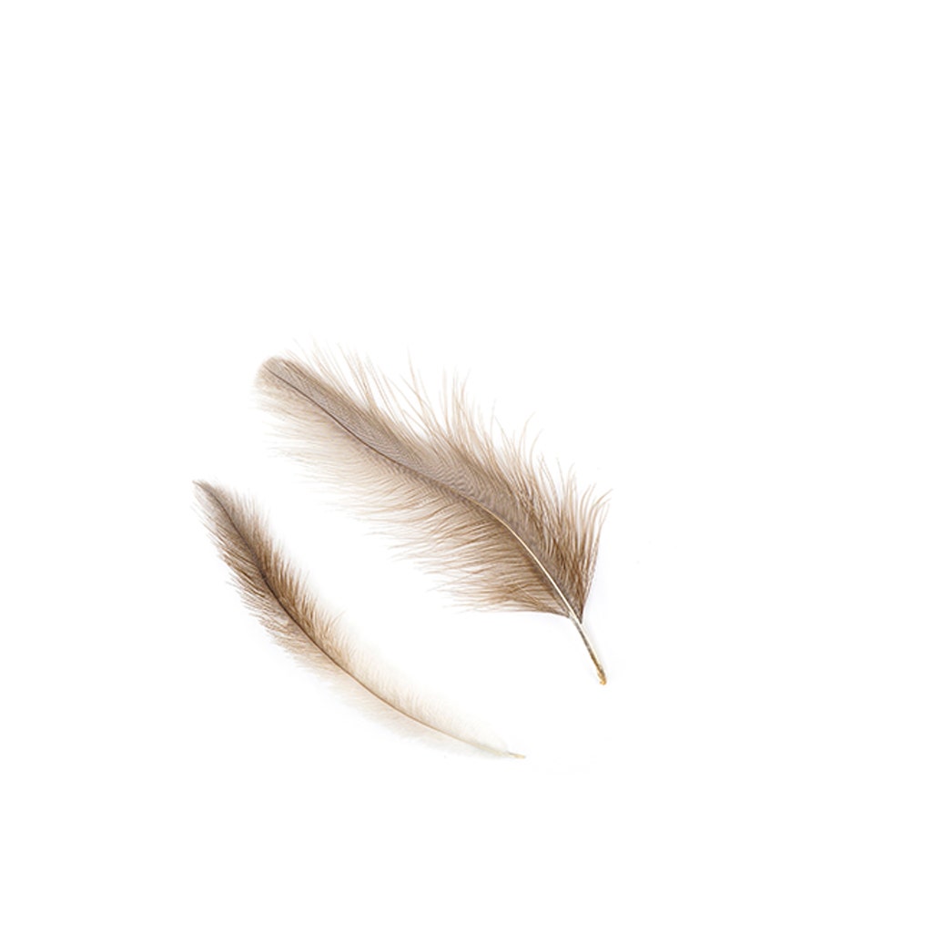 Rhea Tail Feathers Selected - Natural - Feathers