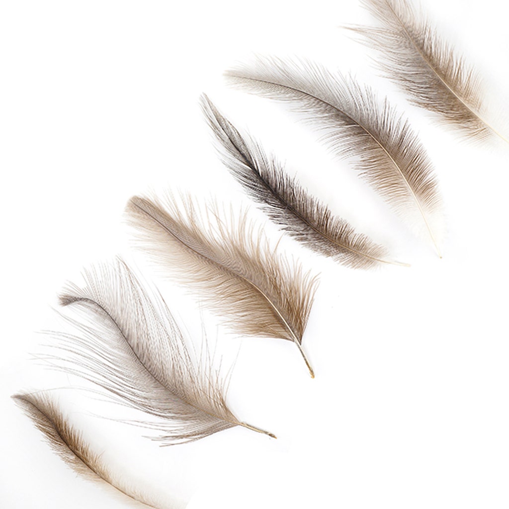 Rhea Tail Feathers Selected - Natural - Feathers