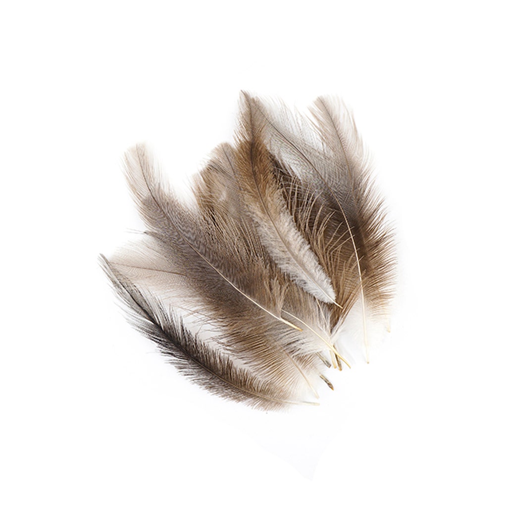 Rhea Tail Feathers Selected - Natural - Feathers