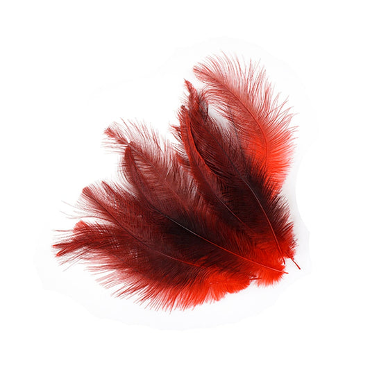 Rhea Tail Feathers Selected - Red - Feathers