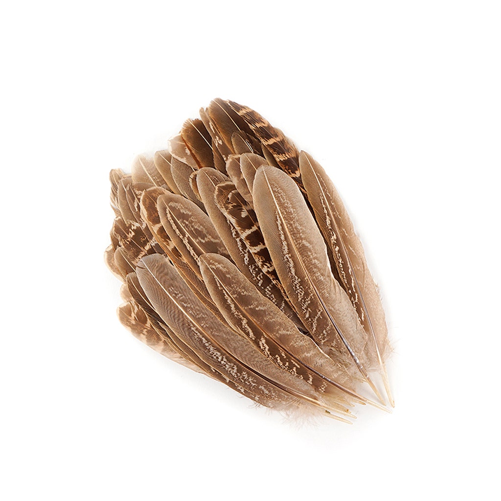 Ringneck Feathers Pheasant Rounds - Natural - Feathers