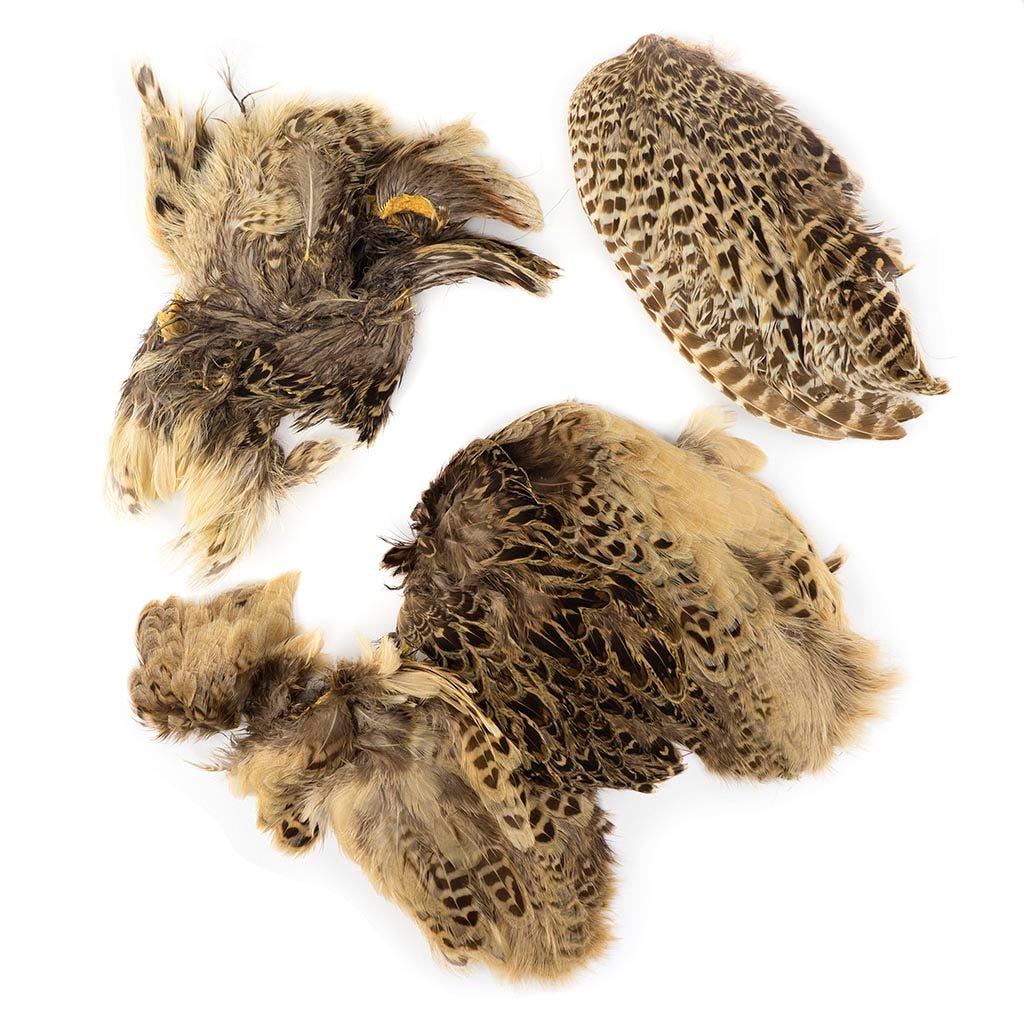 Ringneck Pheasant Hen Skin pieces - Feathers