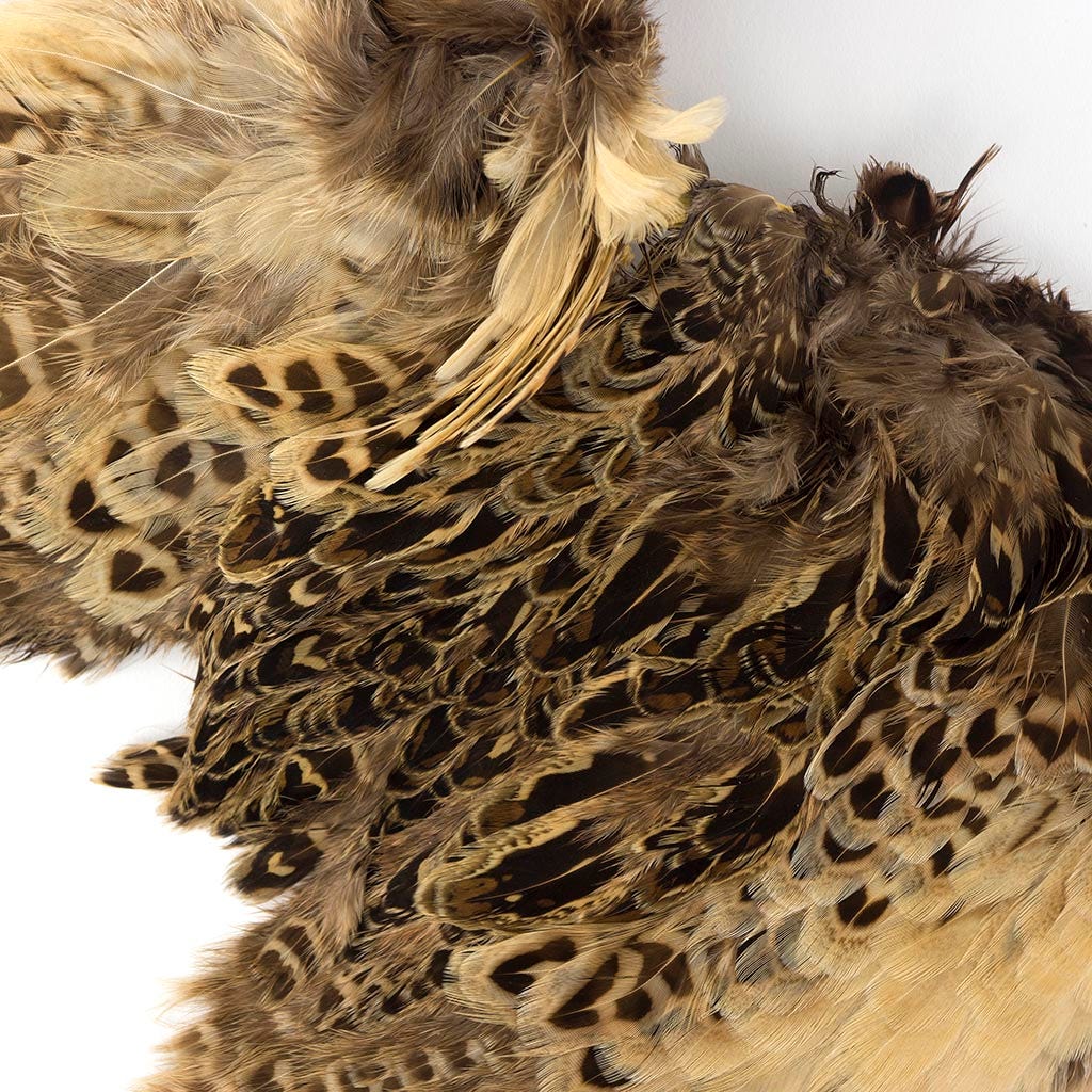 Ringneck Pheasant Hen Skin pieces - Feathers