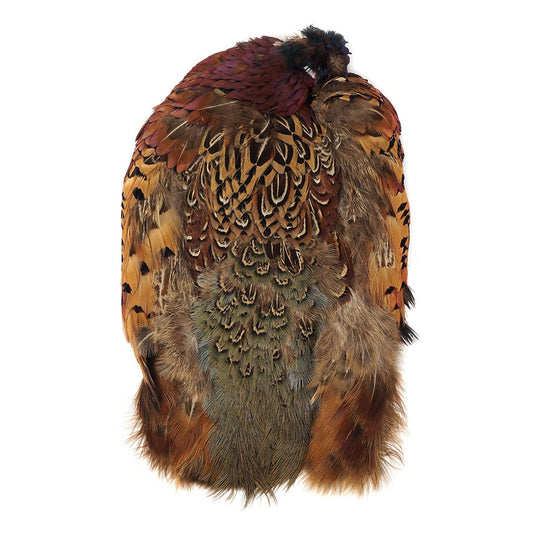 Ringneck Pheasant Pelts No Neck/Wing #1 - Natural - Feathers