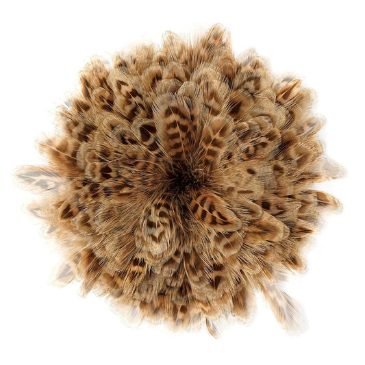 Ringneck Pheasant Plumage 1 YD Natural - Feathers