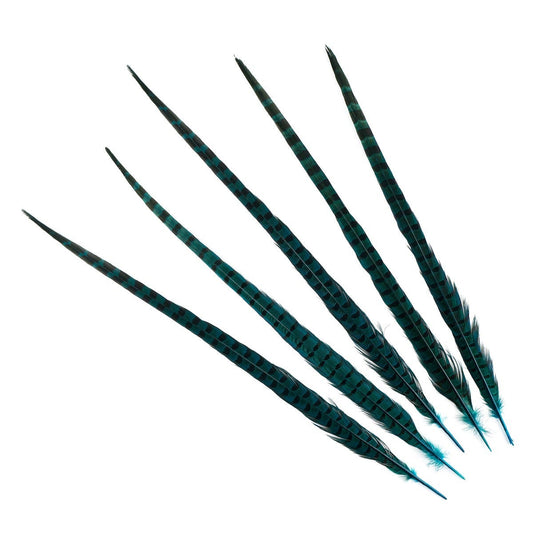 Ringneck Pheasant Tails 20-24’’ Dyed -5pcs - Dark Aqua - Feathers