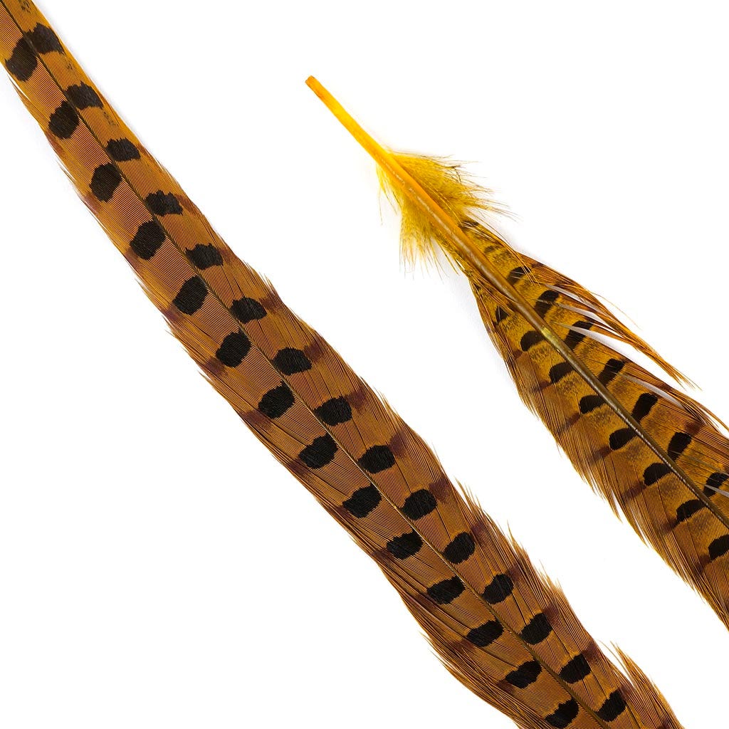 Ringneck Pheasant Tails 20-24’’ Dyed -5pcs - Gold - Feathers