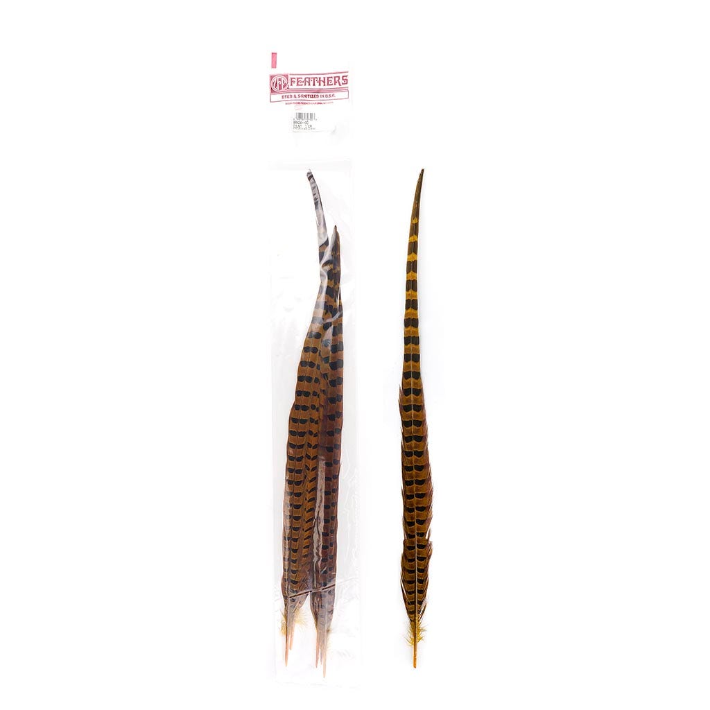 Ringneck Pheasant Tails 20-24’’ Dyed -5pcs - Gold - Feathers