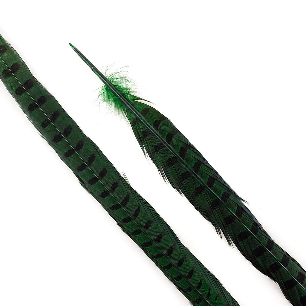 Ringneck Pheasant Tails 20-24’’ Dyed -5pcs - Kelly - Feathers