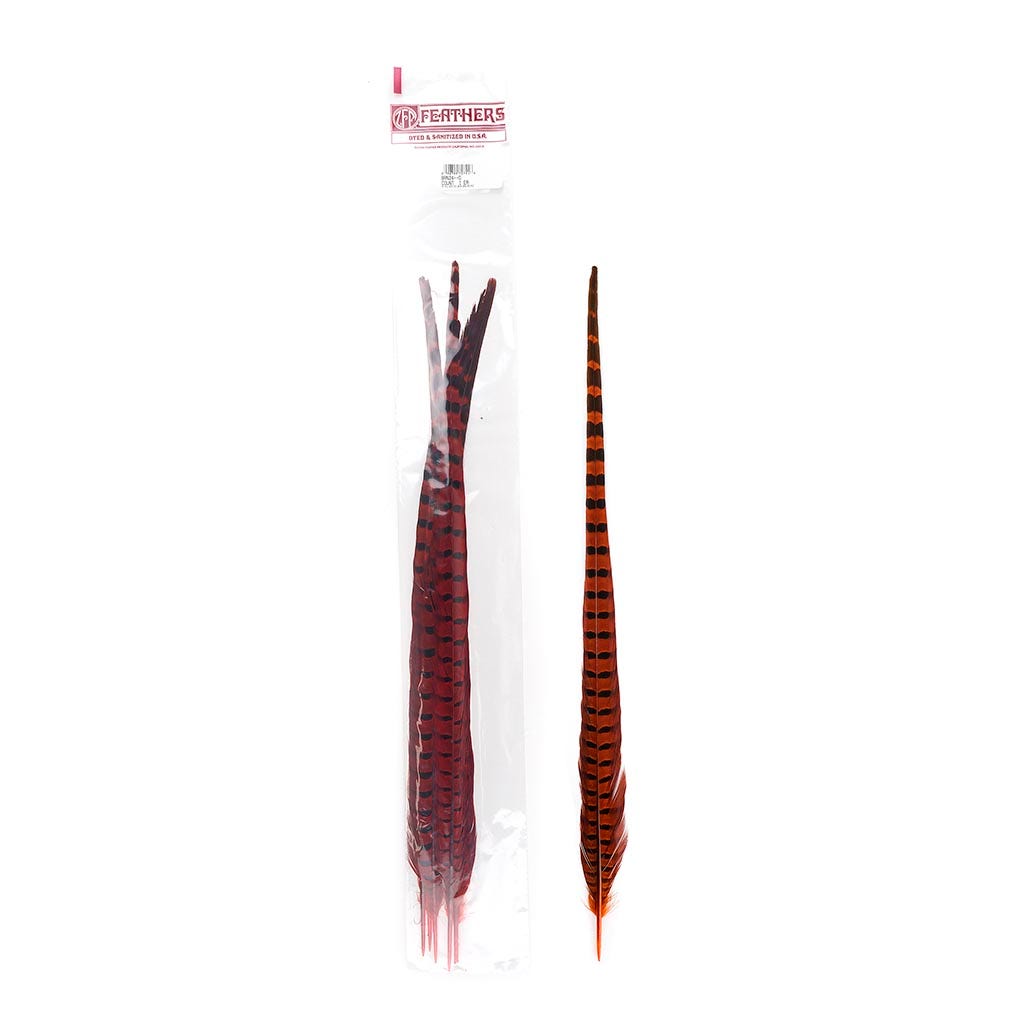 Ringneck Pheasant Tails 20-24’’ Dyed -5pcs - Orange - Feathers