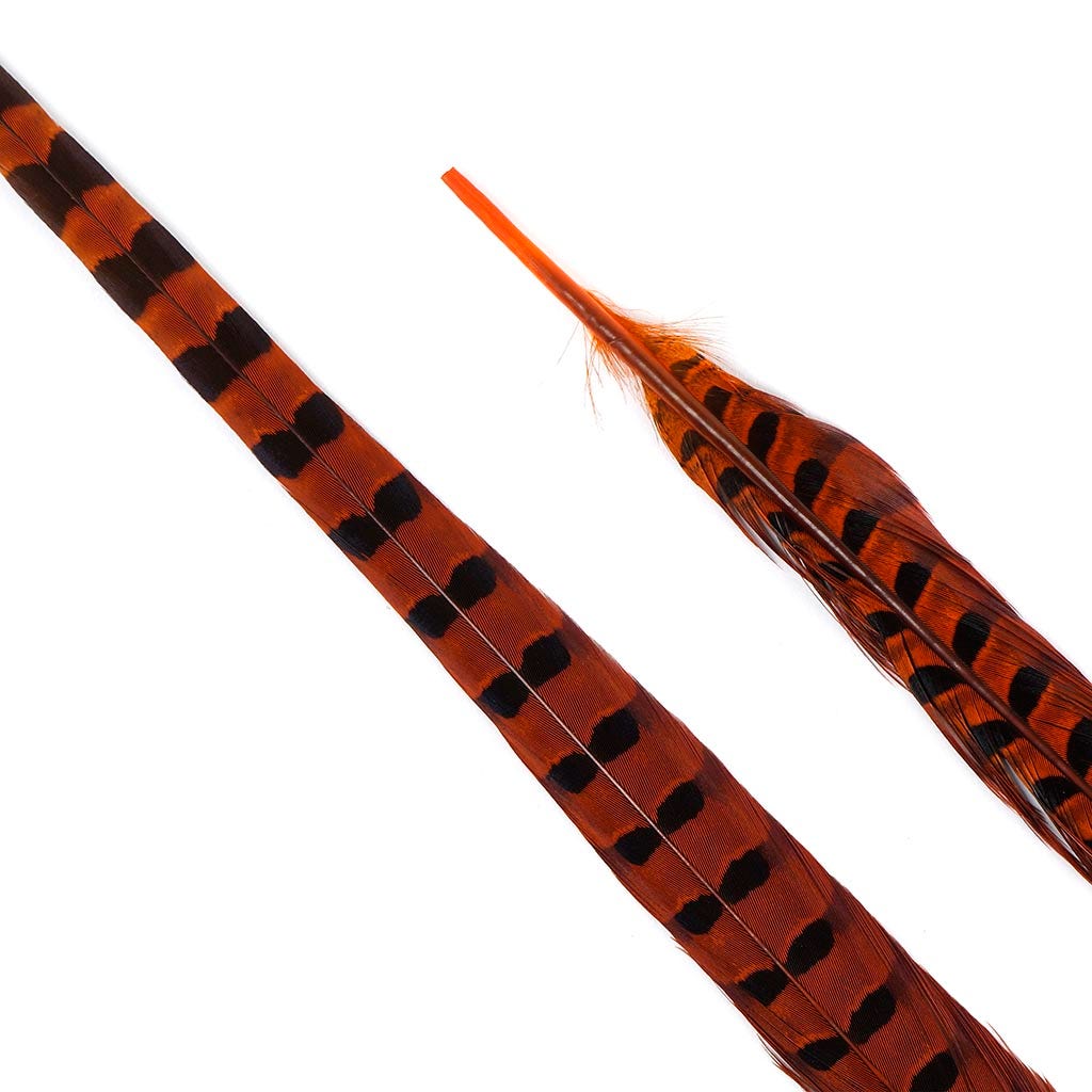 Ringneck Pheasant Tails 20-24’’ Dyed -5pcs - Orange - Feathers